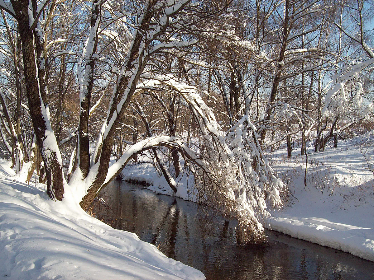 Зима на Яузе зима река Яуза снег деревья солнечный день