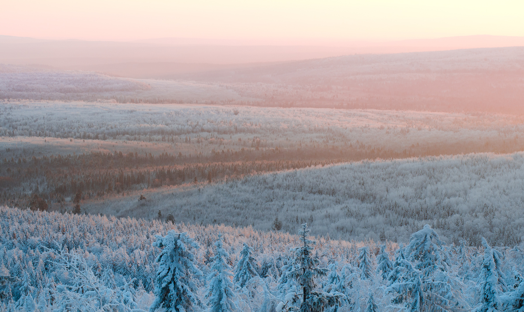 Зимние просторы рассвет пейзаж лес зима