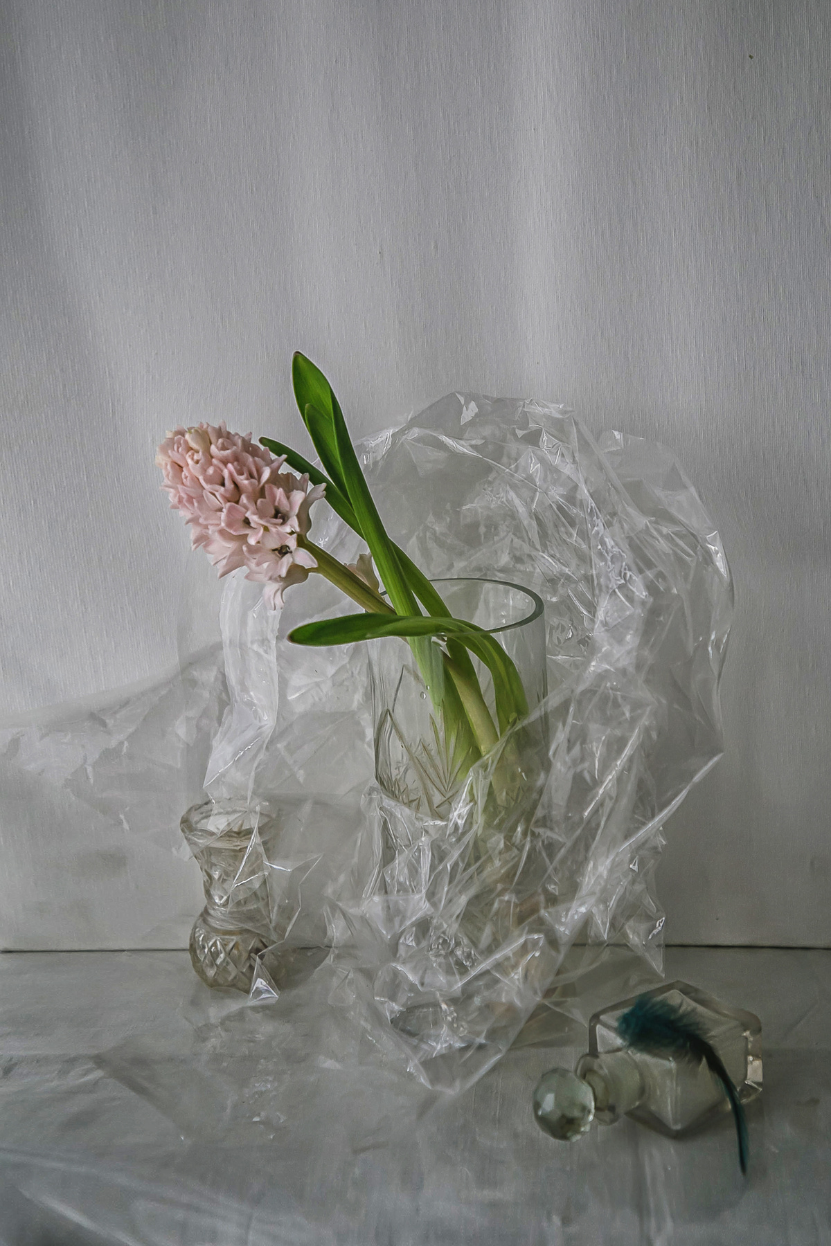 Хрустящий лёд натюрморт стекло цветы гиацинты