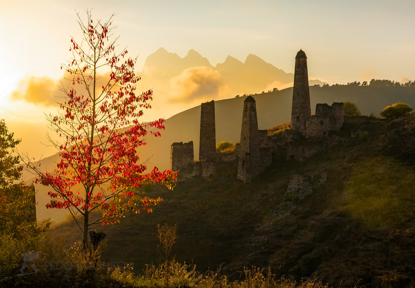 Осеннее фэнтези Горы Кавказ Ингушетии Пялинг башни осень дерево красное закат солнце башенный комплекс Цей-Лоам горы скалы