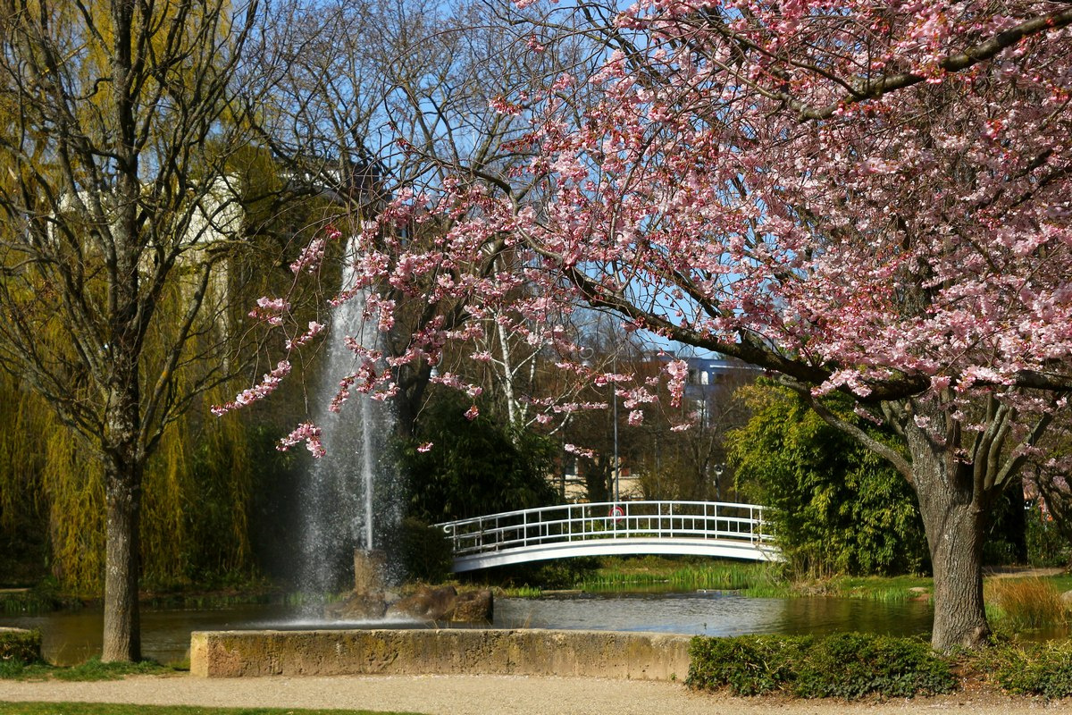 Весны картинки Баден-Баден весна фонтан