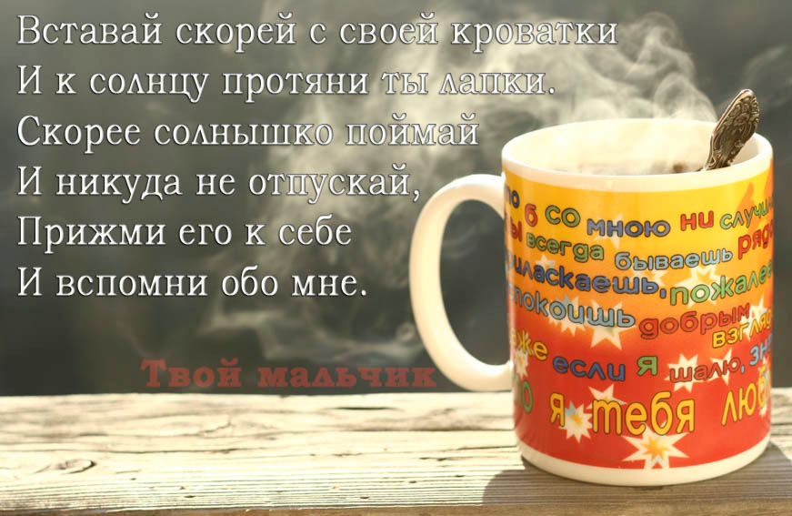 доброе утро 