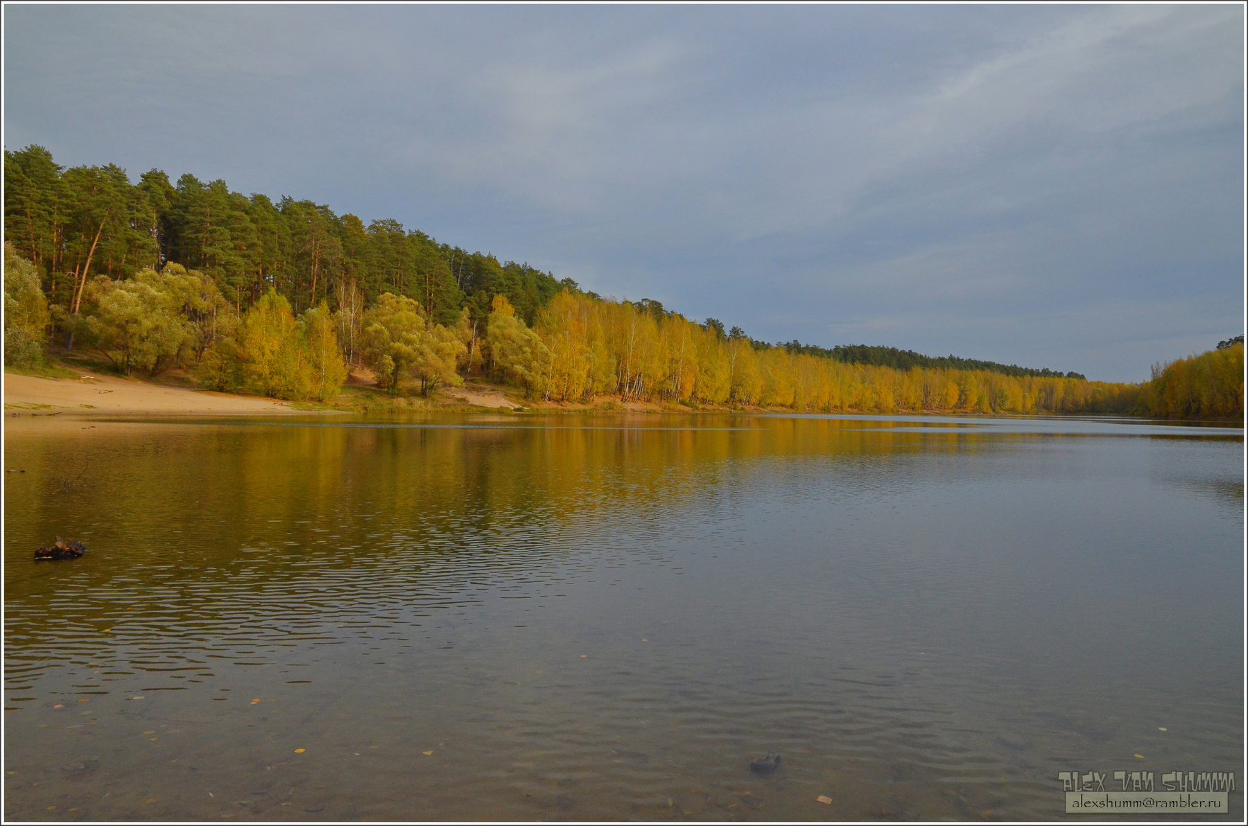 Осень на лесном озере осень лес озеро