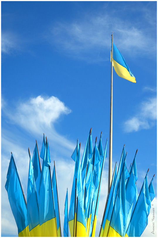 Election Киев флаги флаги флаги флаги небо облака