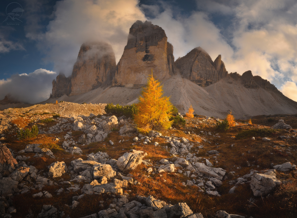 Tre Cime di Lavaredo дерево пейзаж италия доломиты горы