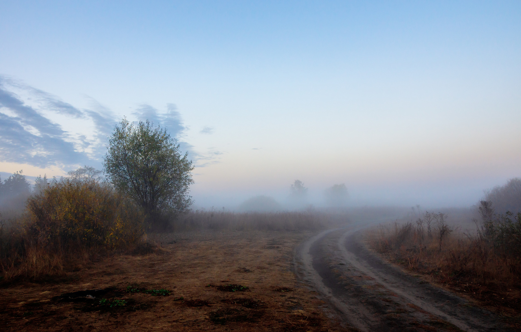 Пробуждение красок пейзаж природа утро восход осень река Усманка туман облака