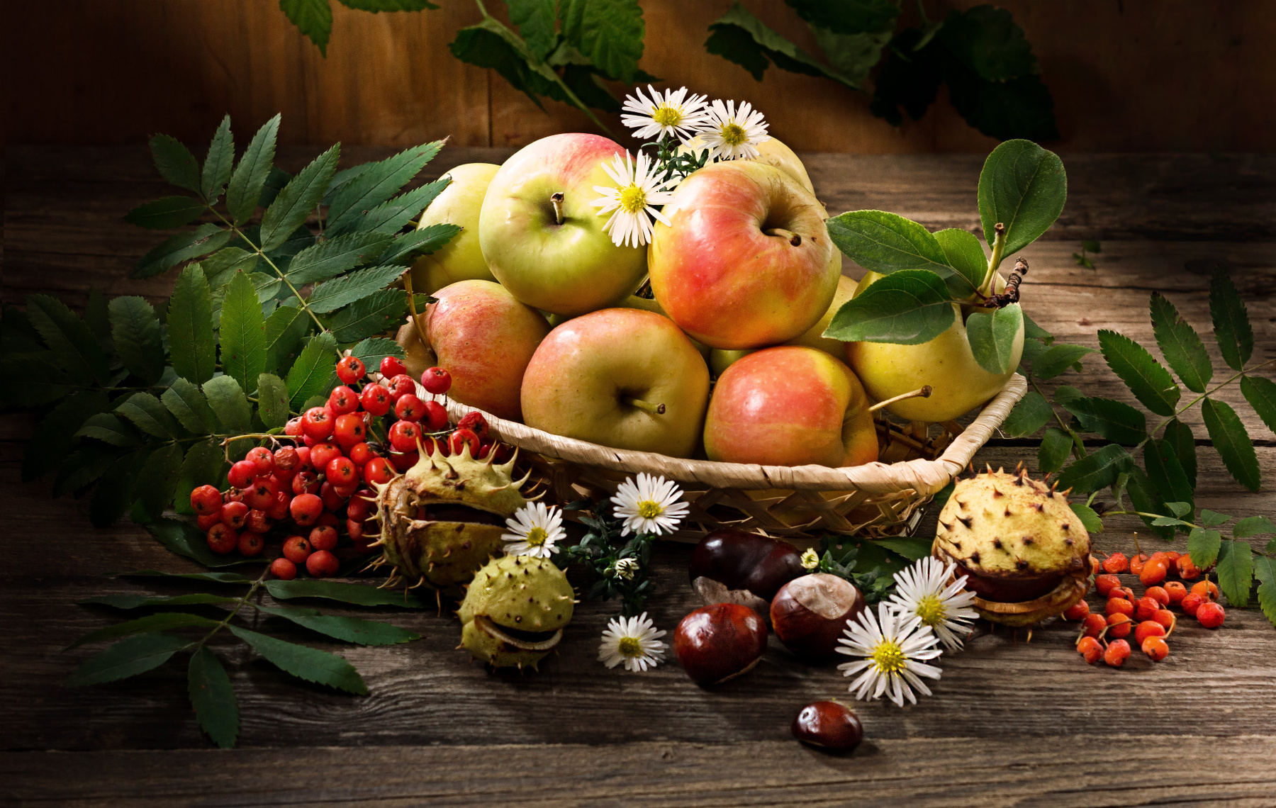Дары осени Осень яблоки рябина