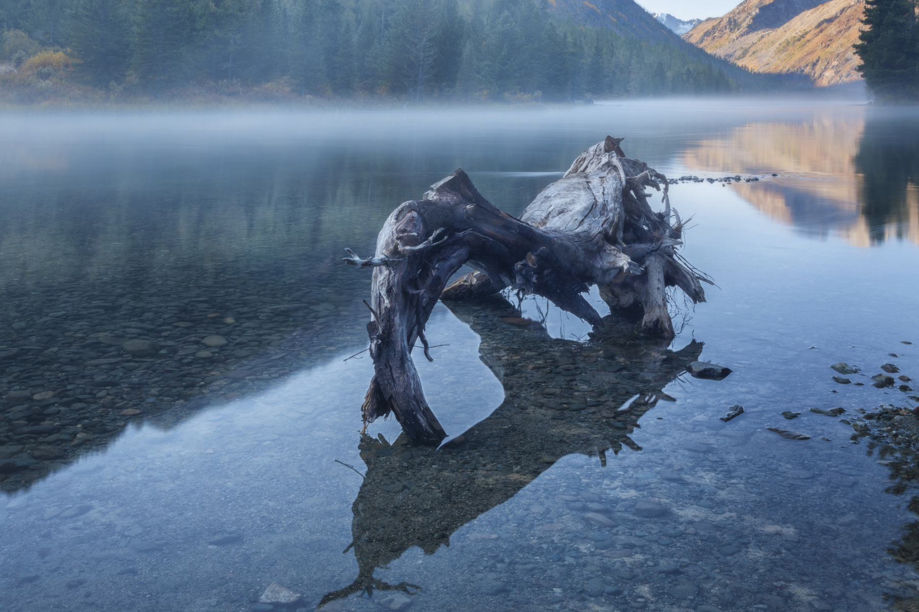 Утро туманное Алтай озеро горы лес природа закат рассвет красота приключения путешествие