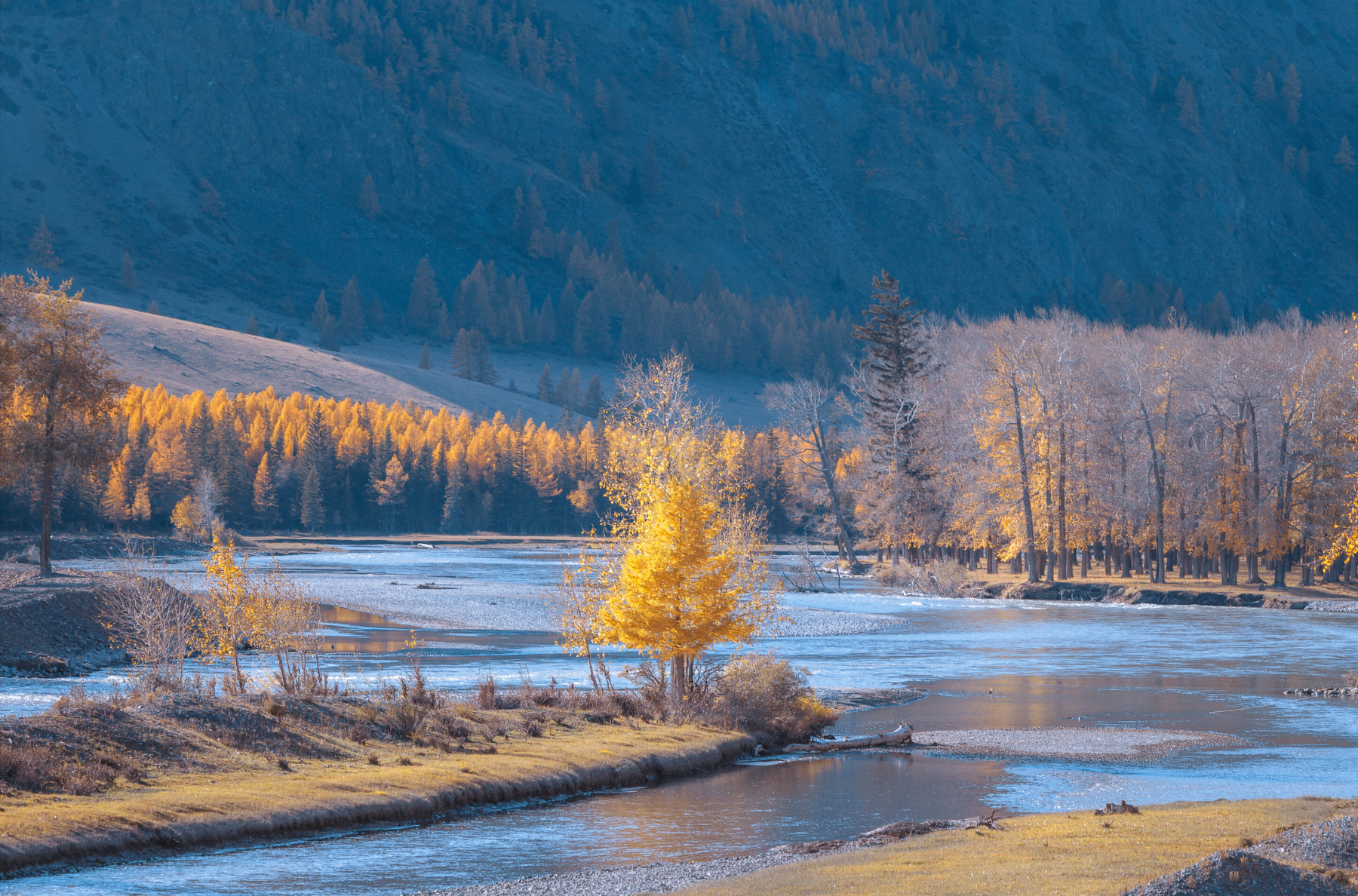 Чуя Алтай республика горный Чуя река горы осень