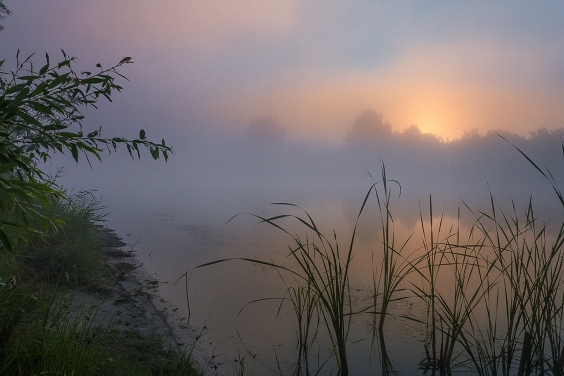 Нежное утро в прохладном тумане природа туман утро река рассвет