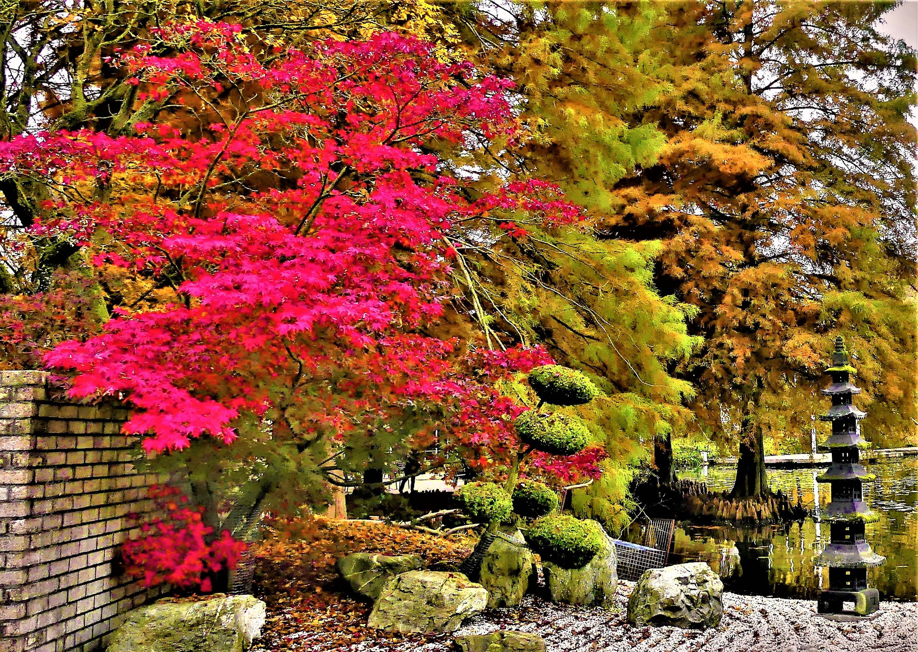 Японская сказка Путешествия природа японский сад осень