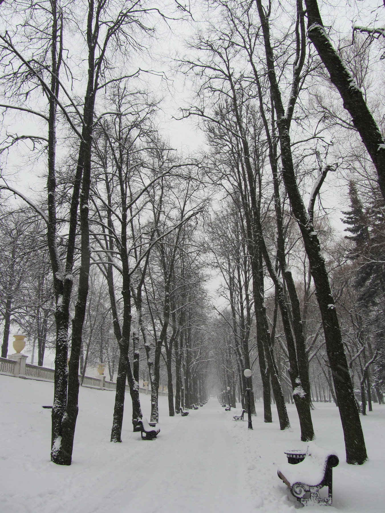 Зимняя аллея город зима парк