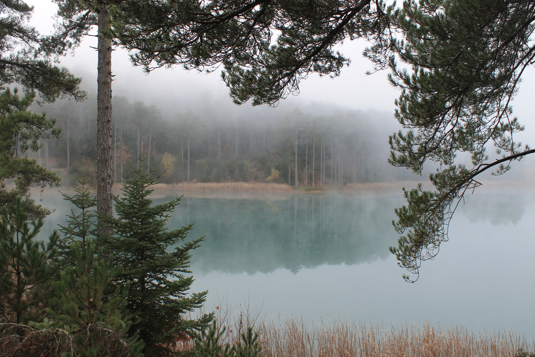 Озеро в тумане. 