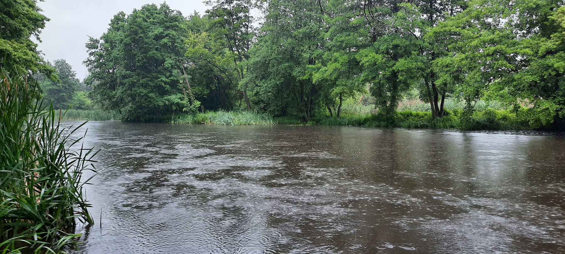 Река Езерка во время дождя река Польша