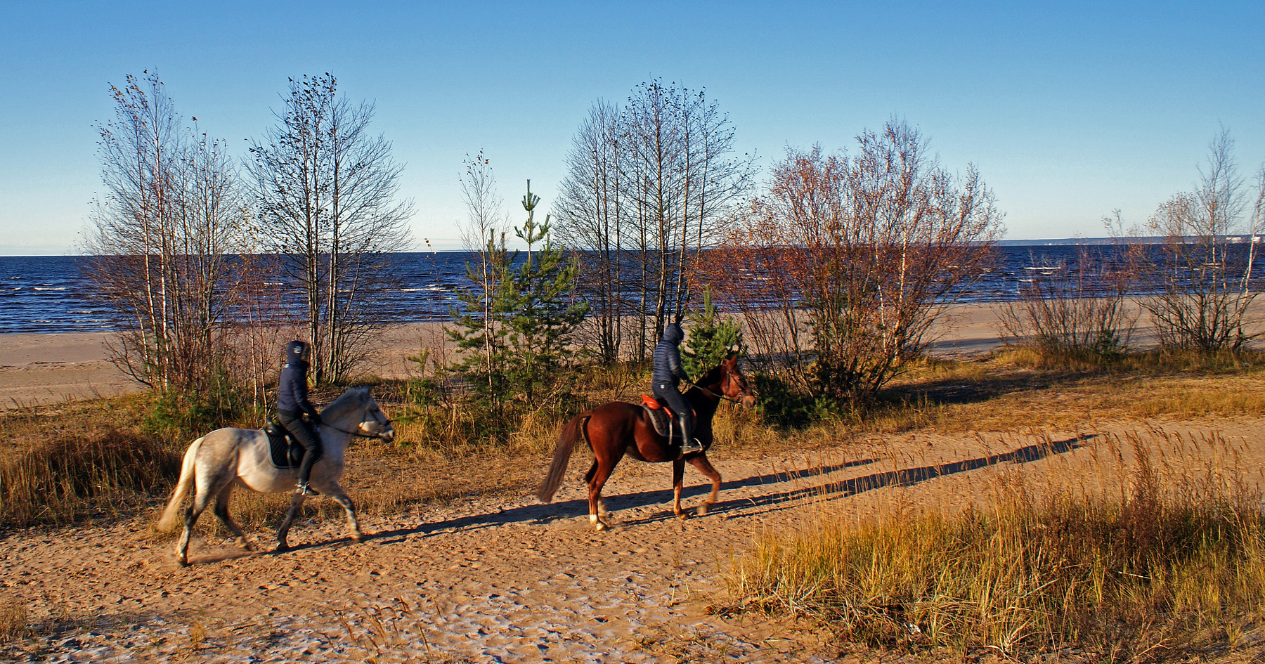 Осенняя прогулка в дюнах пляж песок дюны финский залив лошади прогулки осень девушки