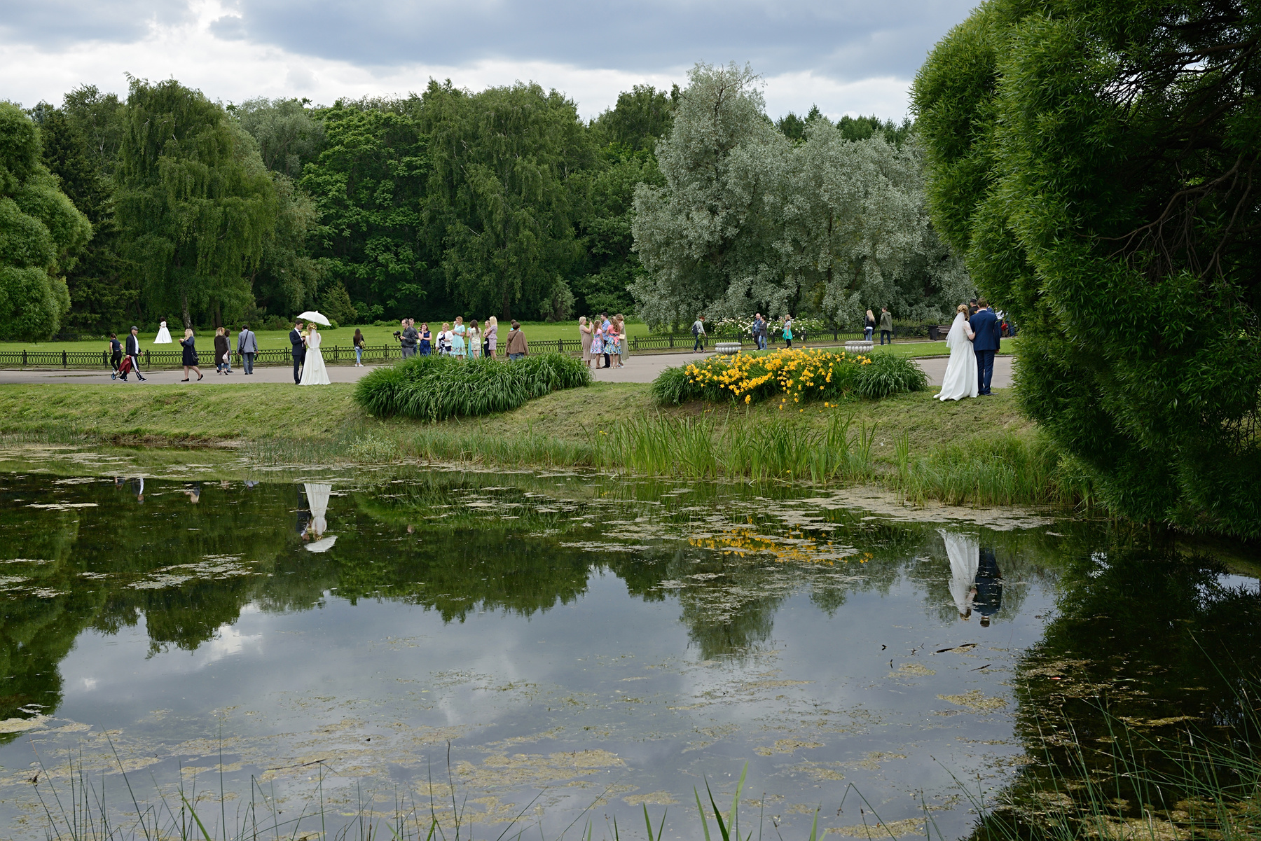 Невесты лето репортаж невесты ботанический сад