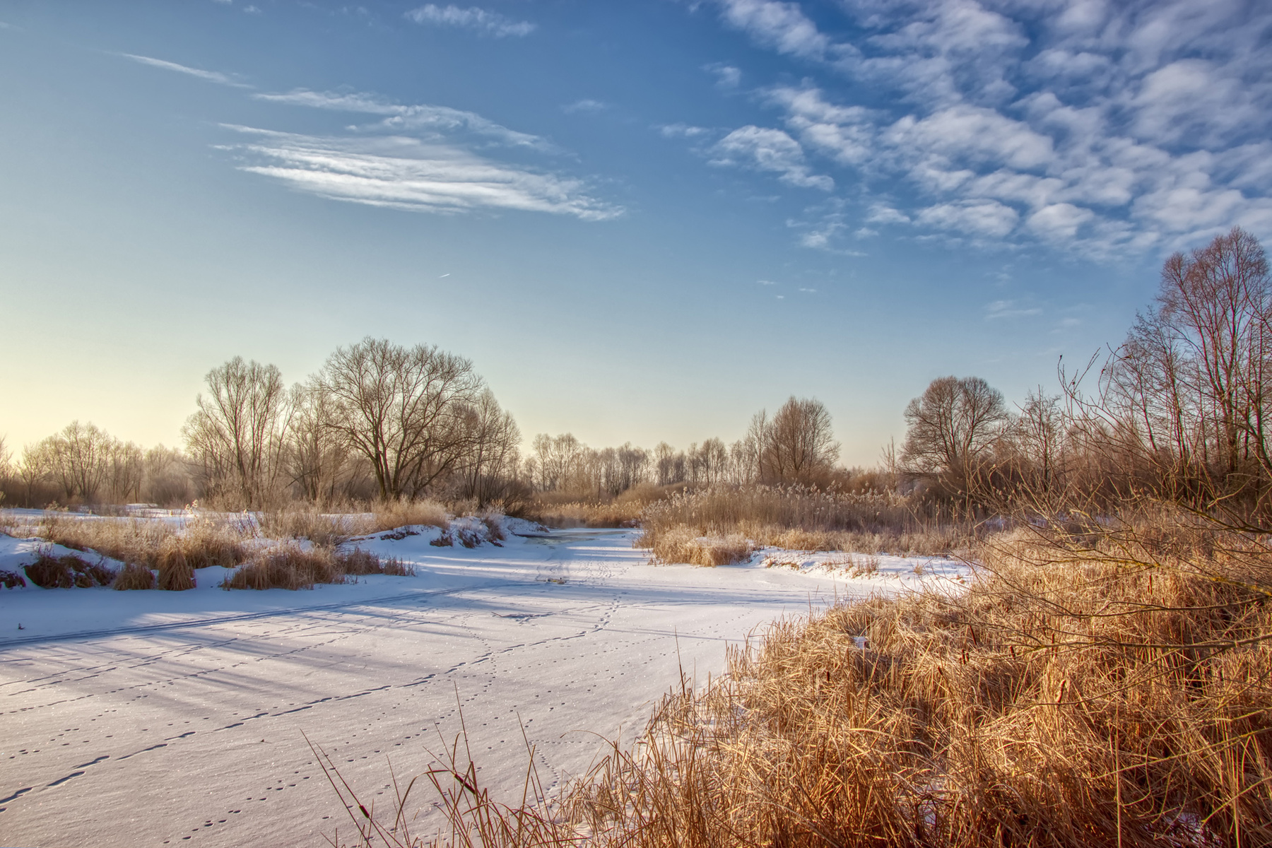 Морозное утро конца февраля пейзаж природа зима утро снег лес река луг солнце Усманка Сомово