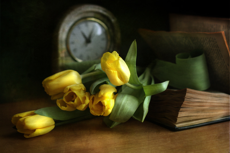перечитывая  Булгакова  желтые тюльпаны