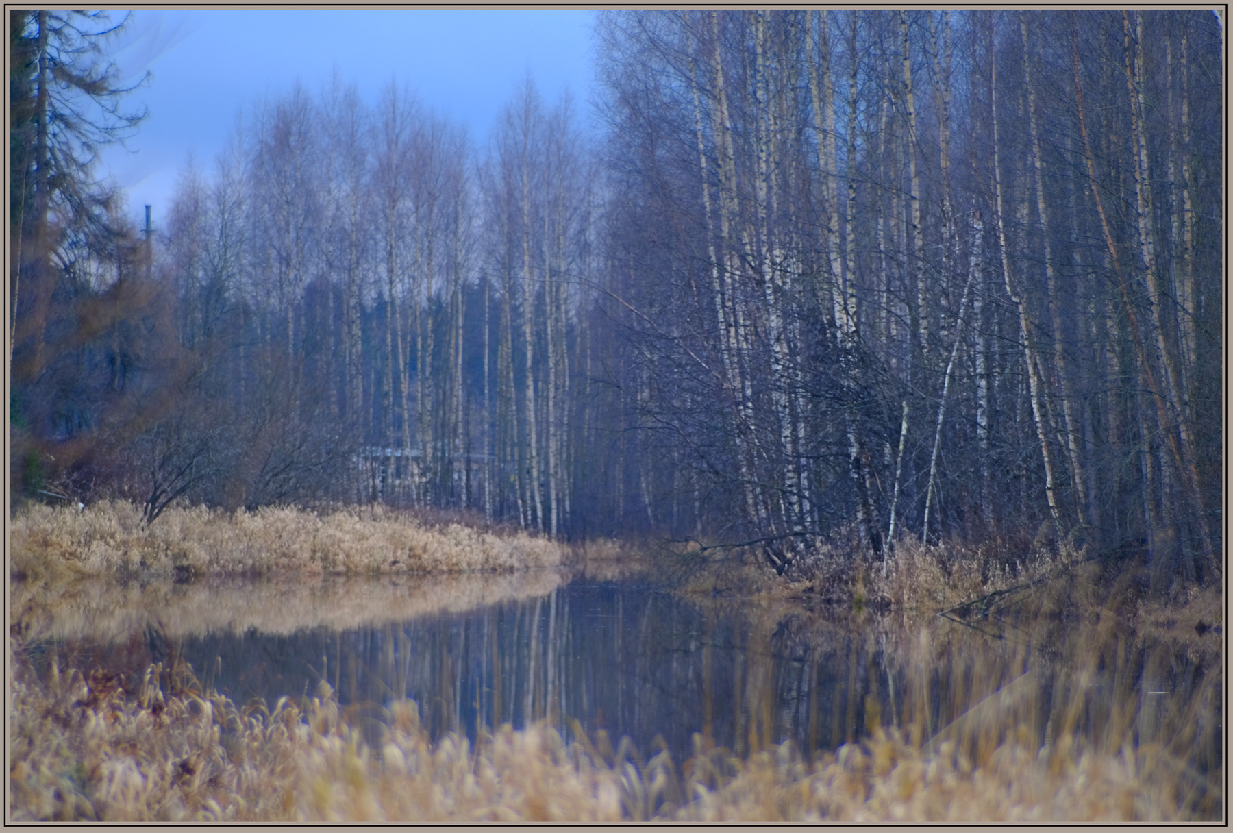 Мельничный ручей (2) река осень
