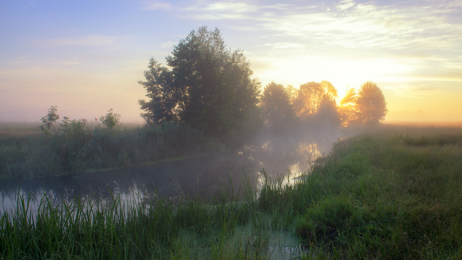 Рассвет на реке Волчья пейзаж природа туман река волчья