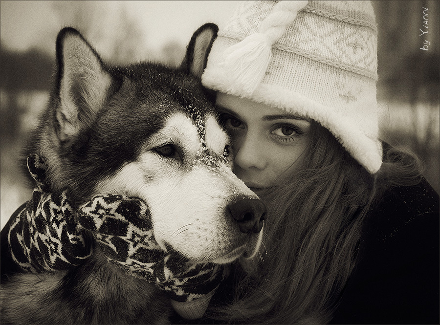 Лучший друг (верность) девушка собака чувства любовь преданность