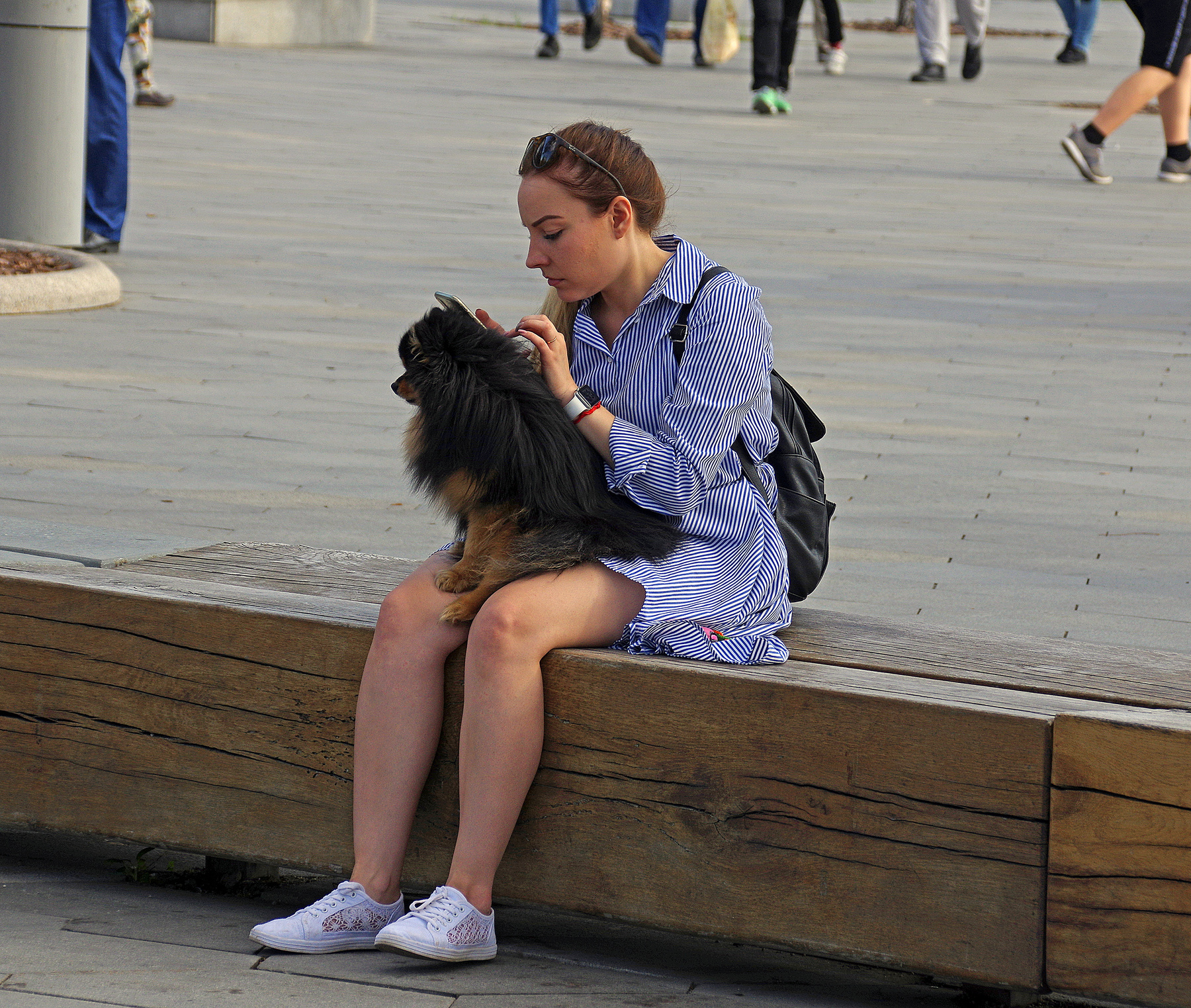 Девушка с собачкой и смартфоном 