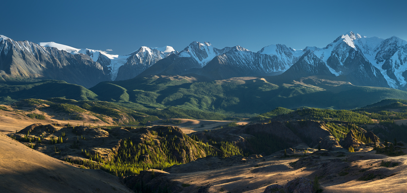 Панорама Северо-Чуйского хребта панорама пейзаж природа горы вершины хребет степь долина вечер снег ледники камни скалы высокий большой красивая Алтай Сибирь Курай Чуйский
