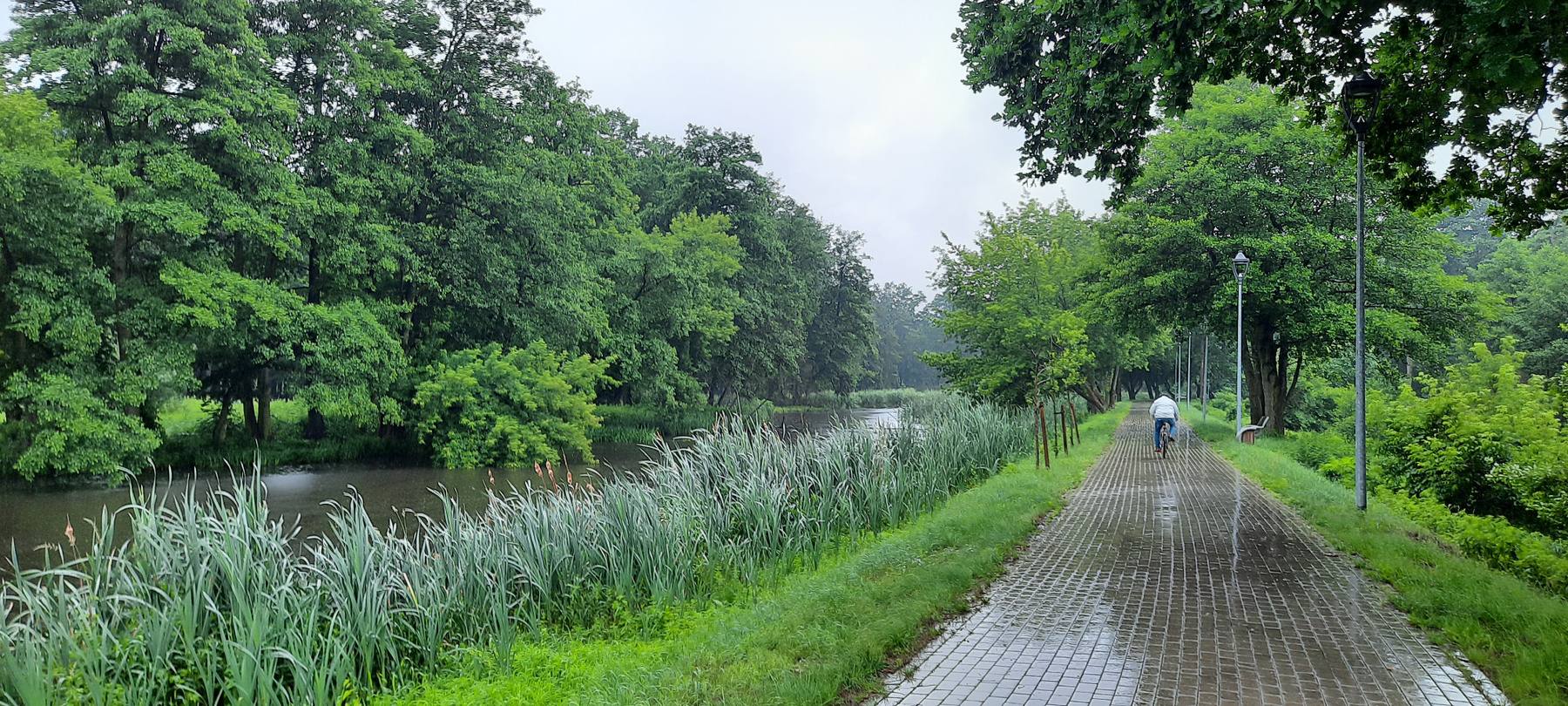 Река Езерка во время дождя река Польша