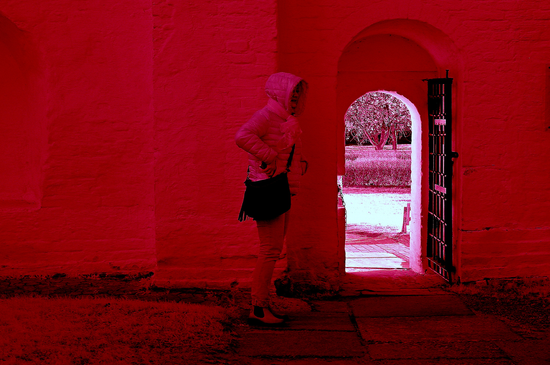 Замешкалась...Один лишь вход и тот не тот... Инфракрасная,чёрно-белая,монохромная, фотография. Hoya R72 Infrared Filter (infrared imaging) Инфракрасная чёрно-белая монохромная фотография Hoya R72 Infrared Filter infrared imaging