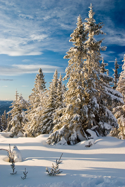Hafjell норвегия зима norway hafjell