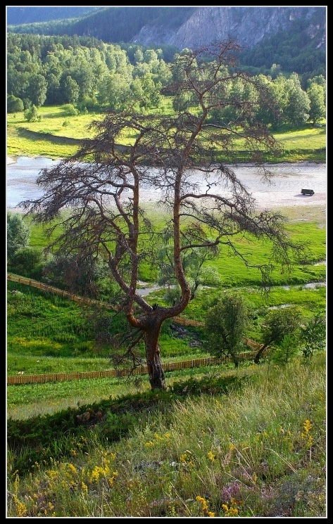 Старая фотка о лете.... башкирия лето река белая