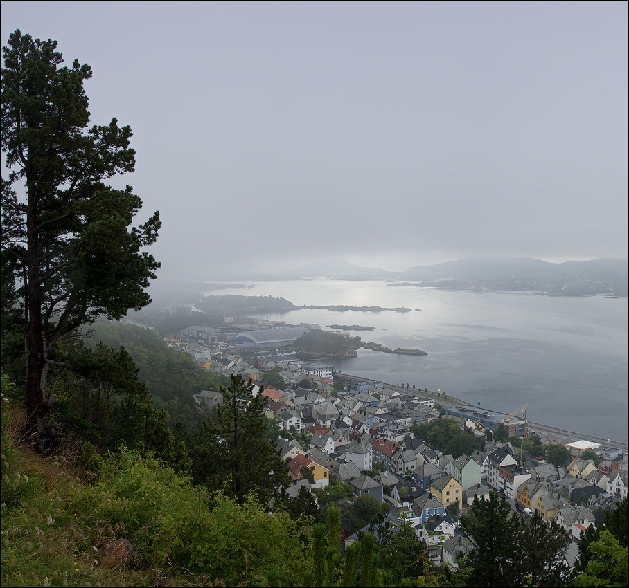 Под серебряной вуалью норвегия алесунд гора склон сосна дома залив острова туман свет