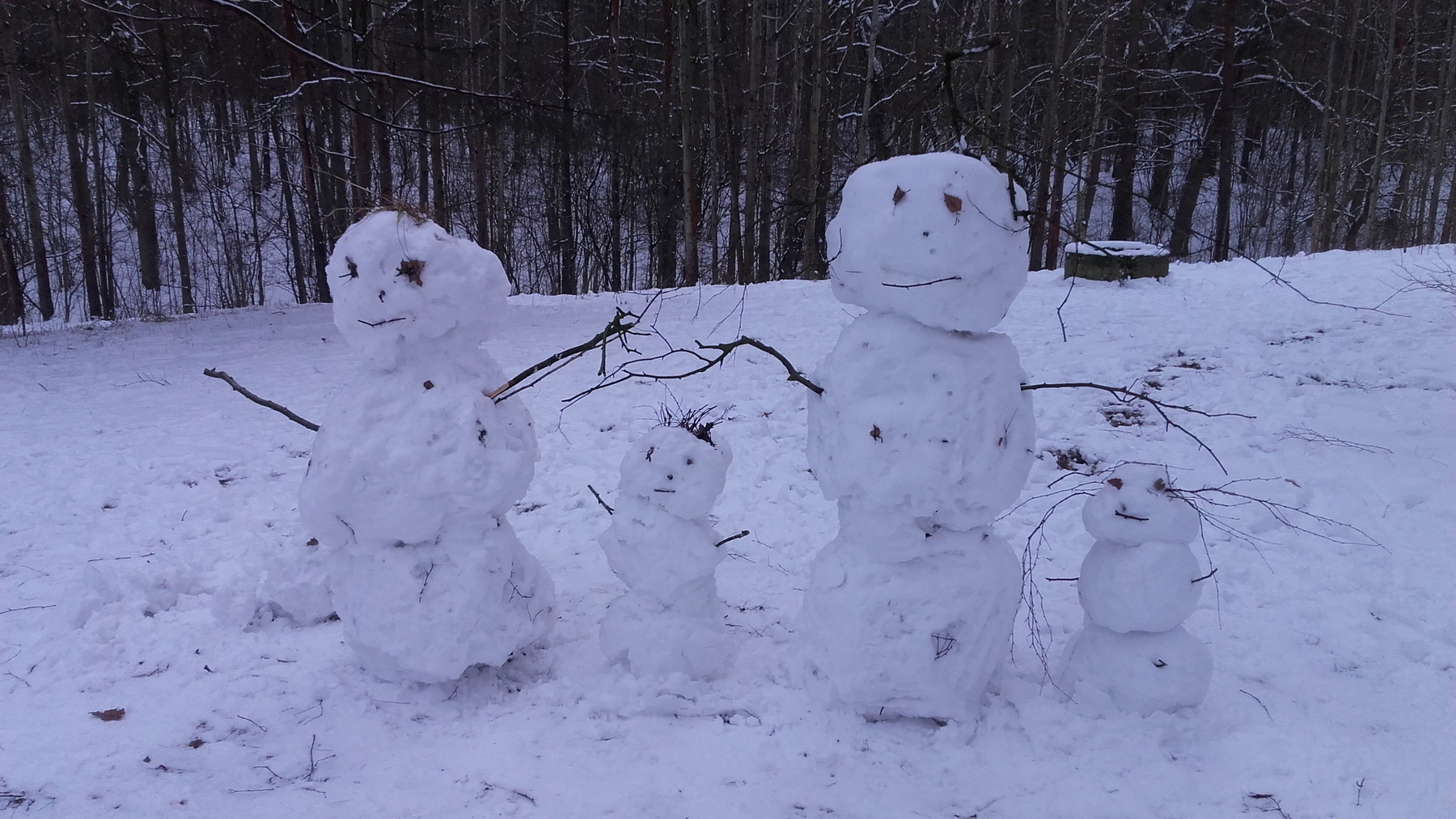 семья снеговиков снег снеговики