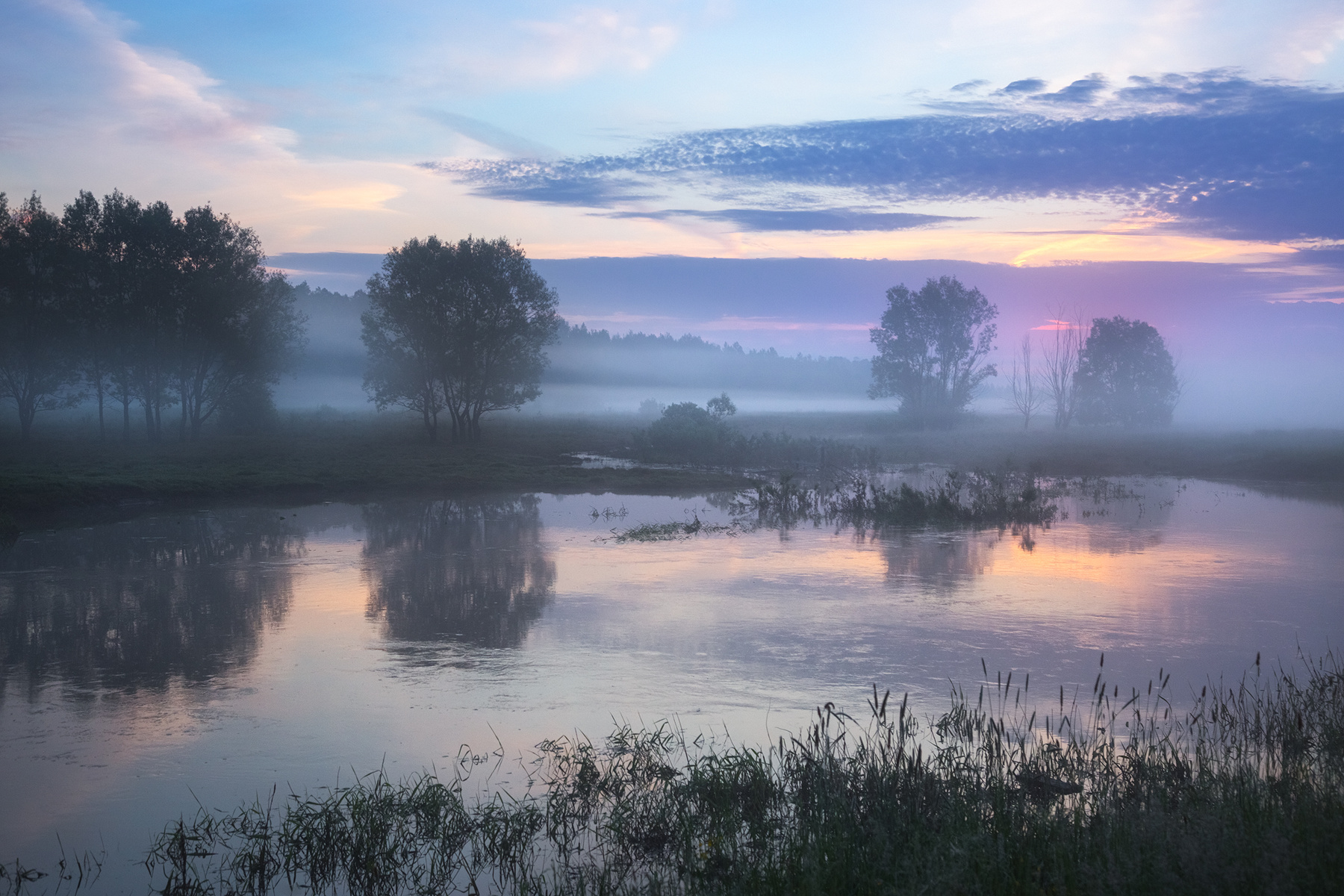 Утро на Шерне природа туман лето рассвет