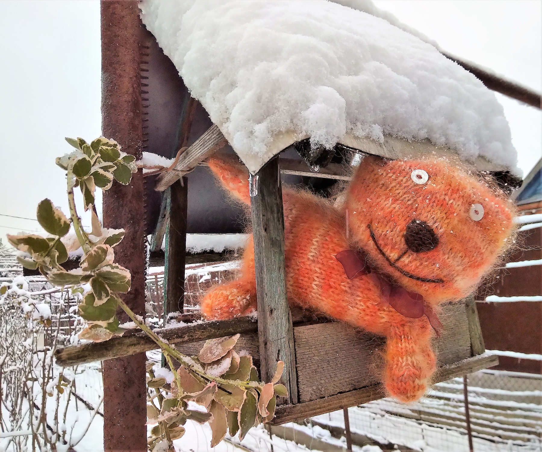 Рыжий " разбойник " дневники дом зима игрушка инсталляция ирония настроение снег фотография юмор