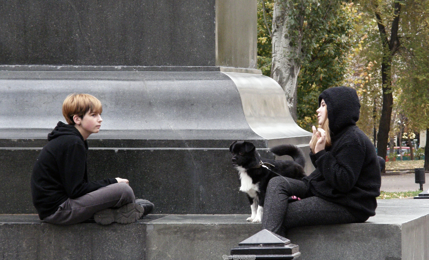 Разговор (...племя молодое, незнакомое...) Соборная площадь подруги собака пьедестал