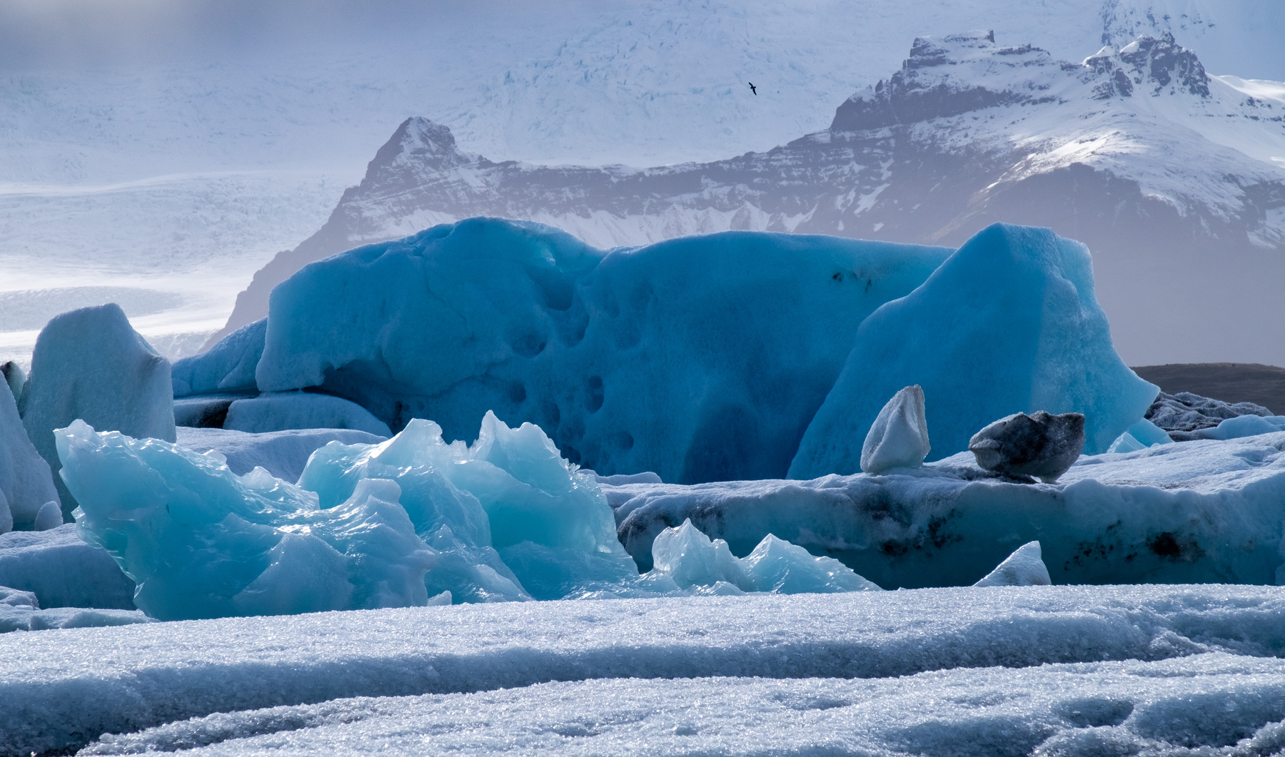 Голубые айсберги Исландии 