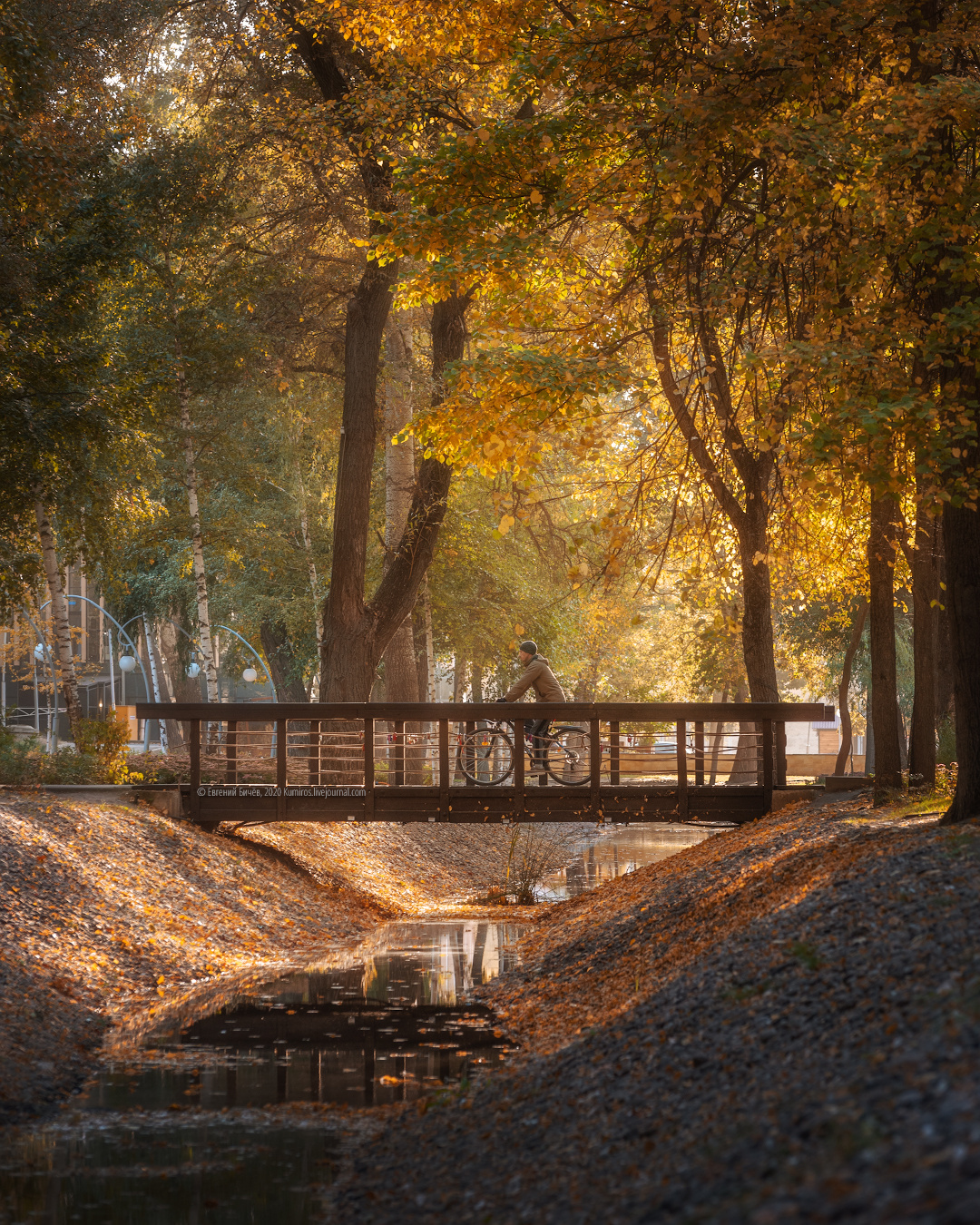 Тёплый октябрь  воронеж парк динамо осень октябрь 2020