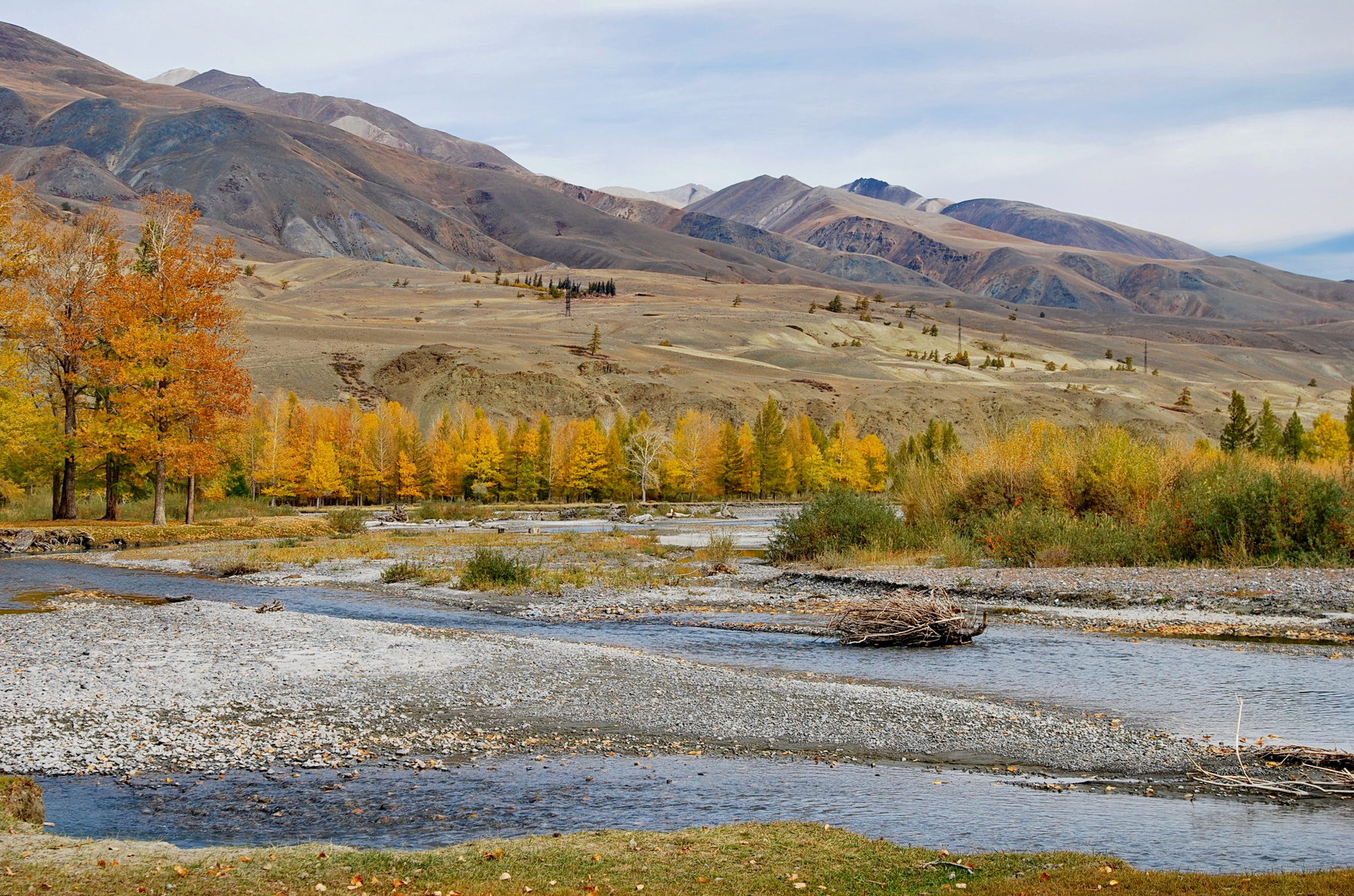 золотая осень,Чаганузун Горный Алтай пейзаж реки Чаганузун nataly-teplyakov