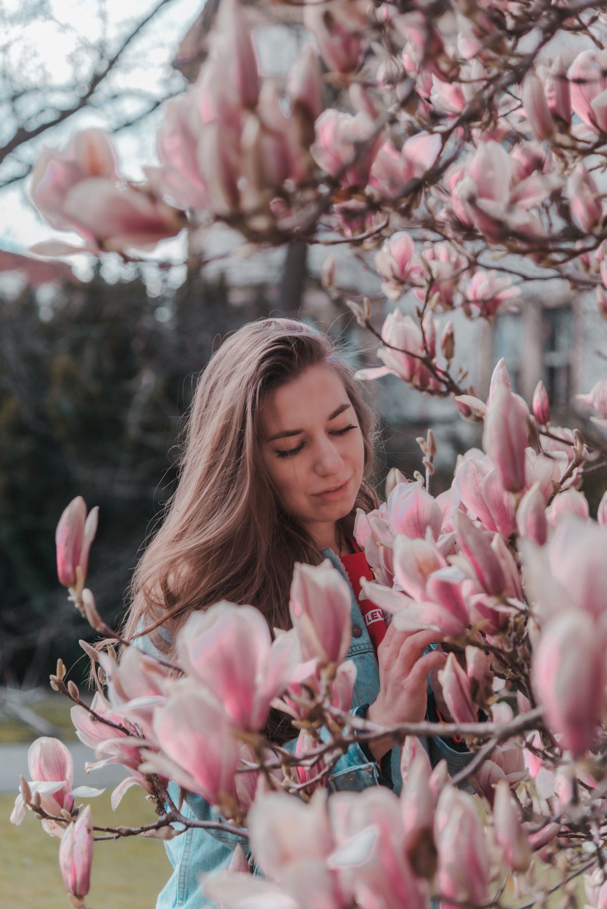 Цветущая магнолия Чехия Прага цветы девушка весна цветение парк лето магнолия