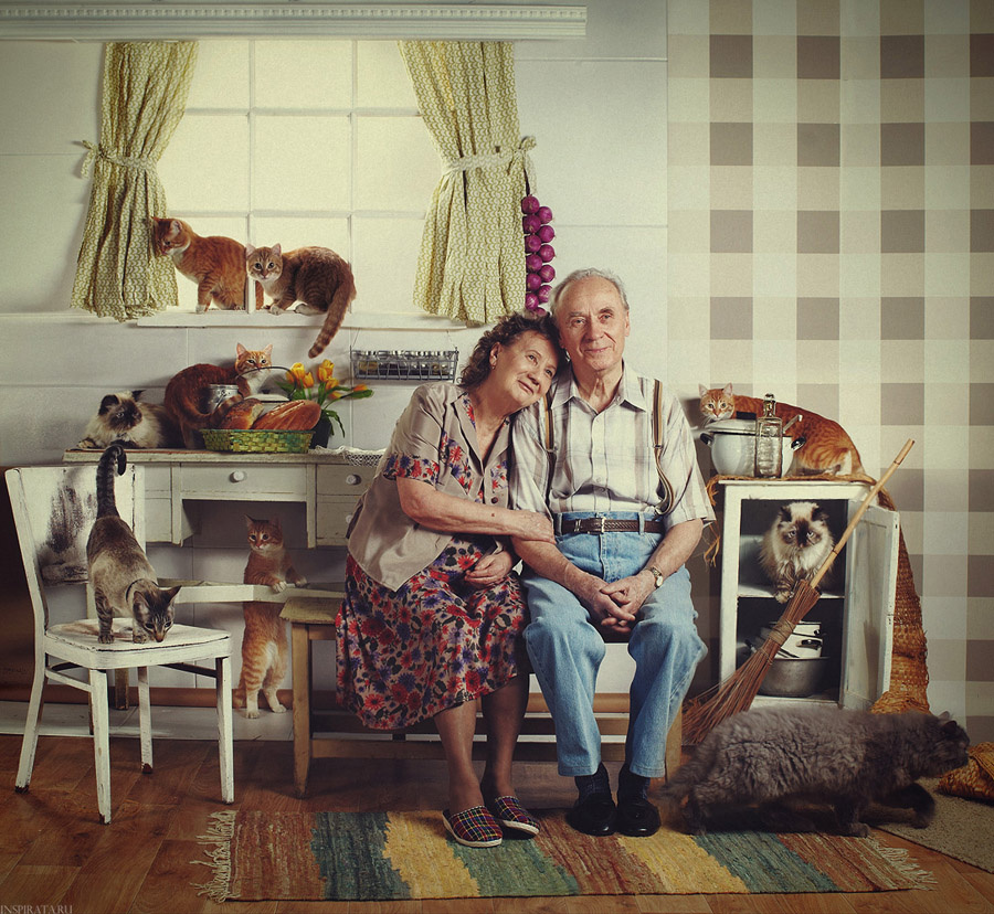 Про Любовь фото, семейный портрет, кошка
