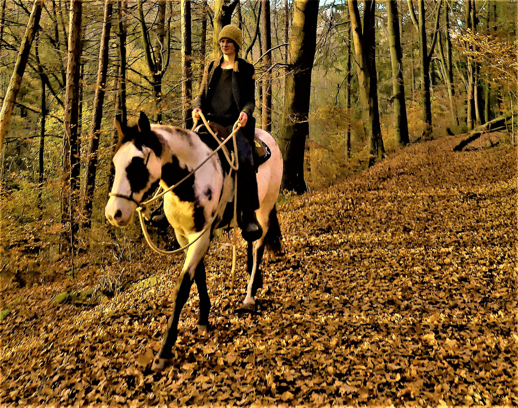 Прогулка по осеннему лесу Лес осень лошадь