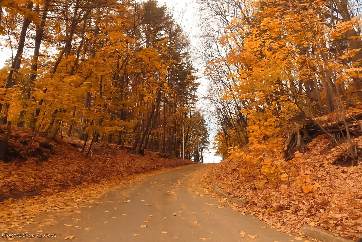 Осеннее шоссе пейзаж природа осень лес шоссе