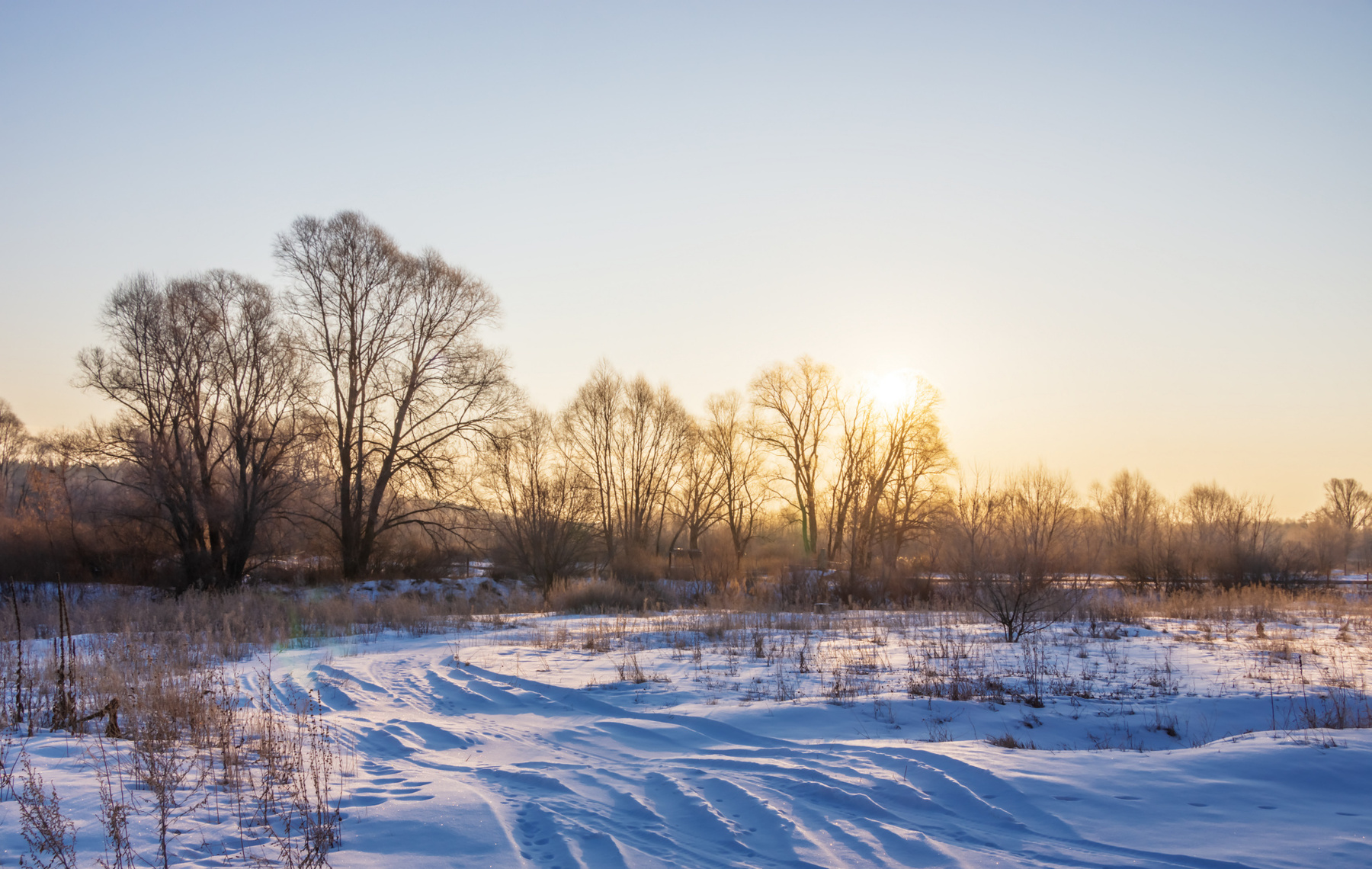Морозный рассвет пейзаж природа зима утро дорога снег лес сосна луг солнце