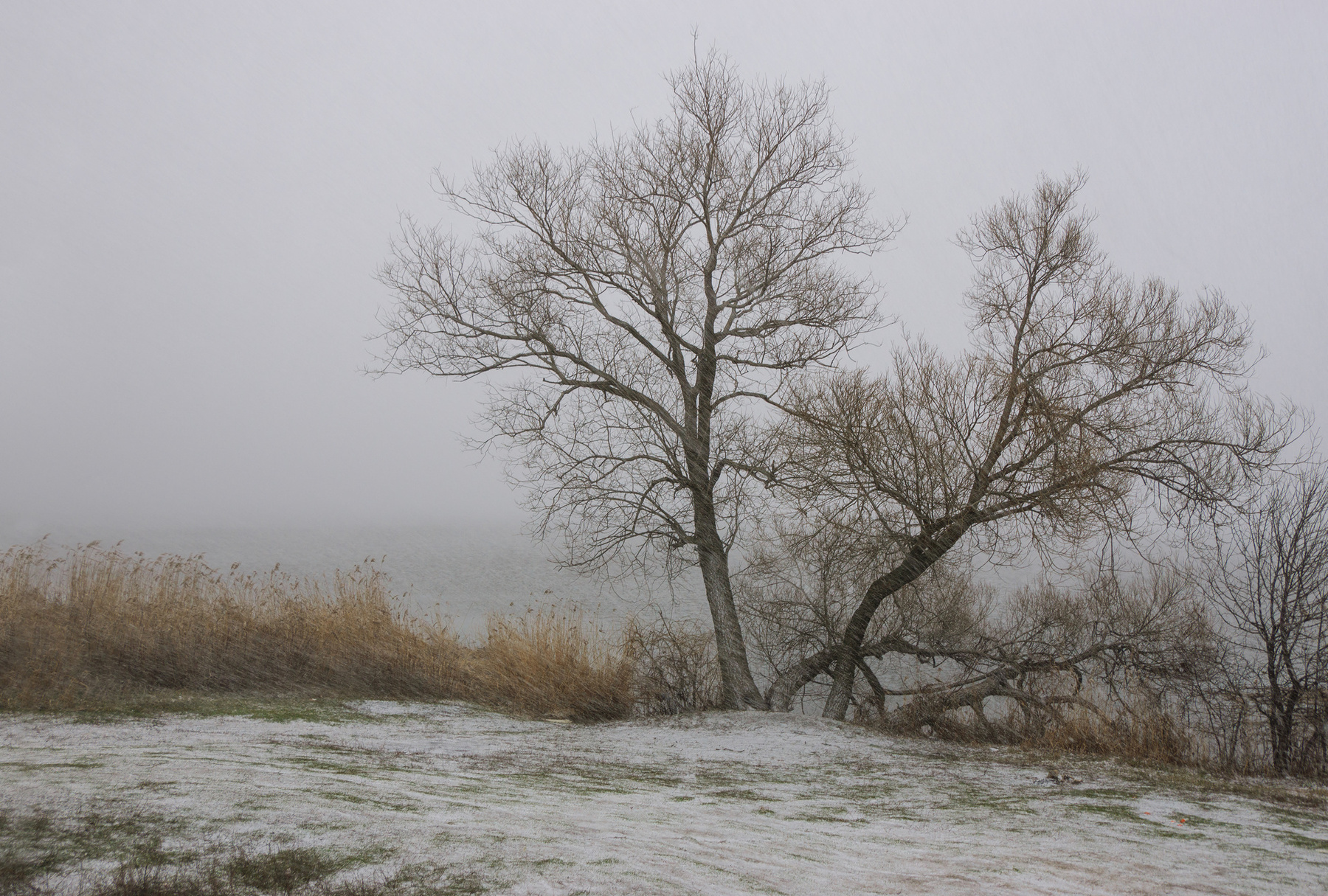 Неожиданный заряд зимы природа весна берег водохранилище снег Воронеж пейзаж