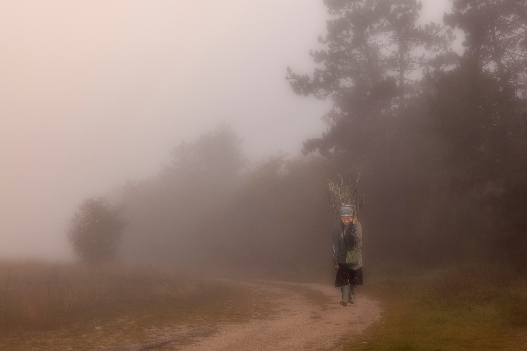 Туманное утро Туман Утро лес дорога женщина хворост