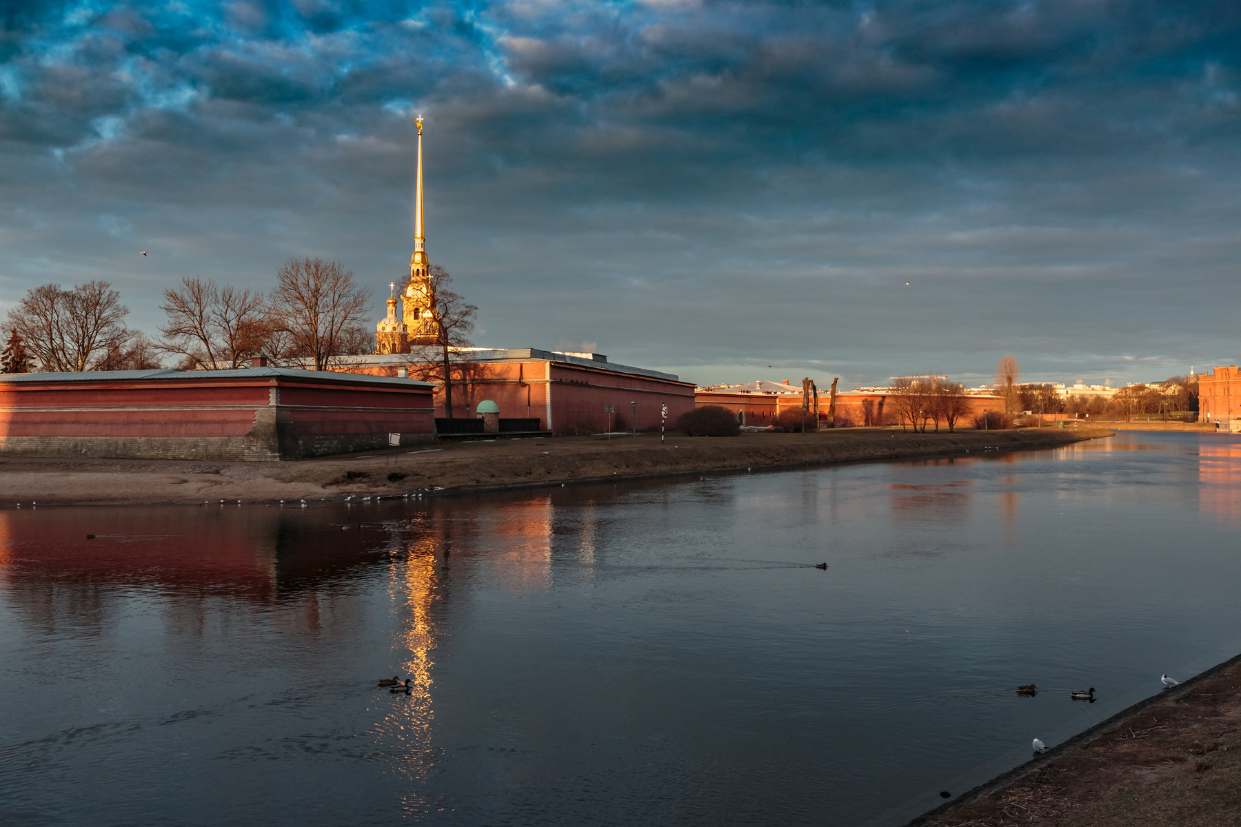 Утки у шпиля Санкт-Петербург утро мост река отражение храм Петропавловская крепость