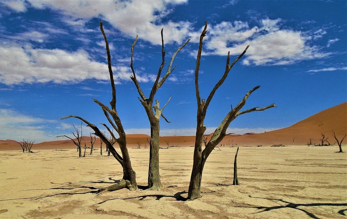 Пустыня Намиб, юго-запад Африки. африка намибия