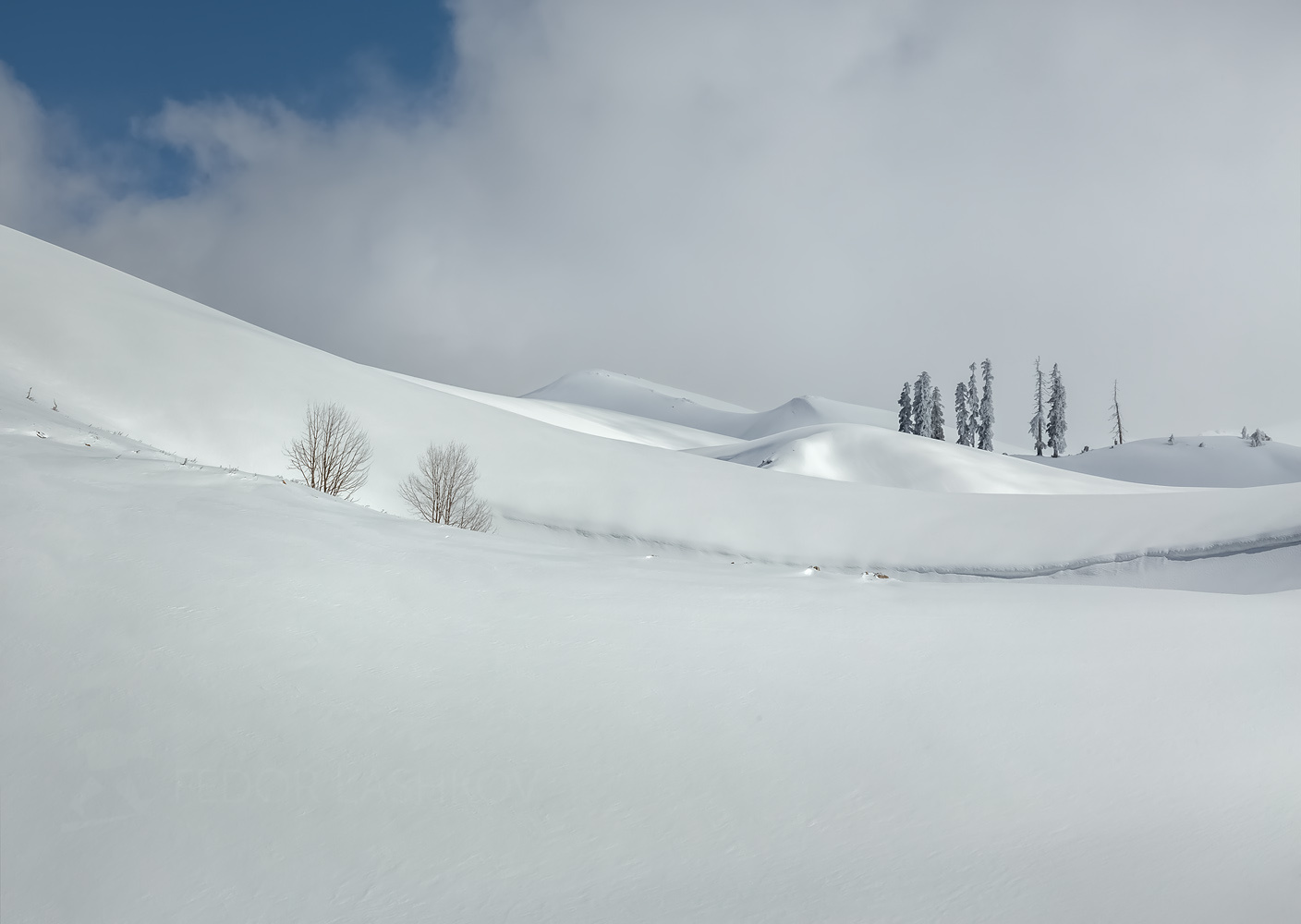 Снежная графика Абхазия путешествие туризм горы зима лес в горах Мамдзышха пихта снег склоны день снегу линии графика небо