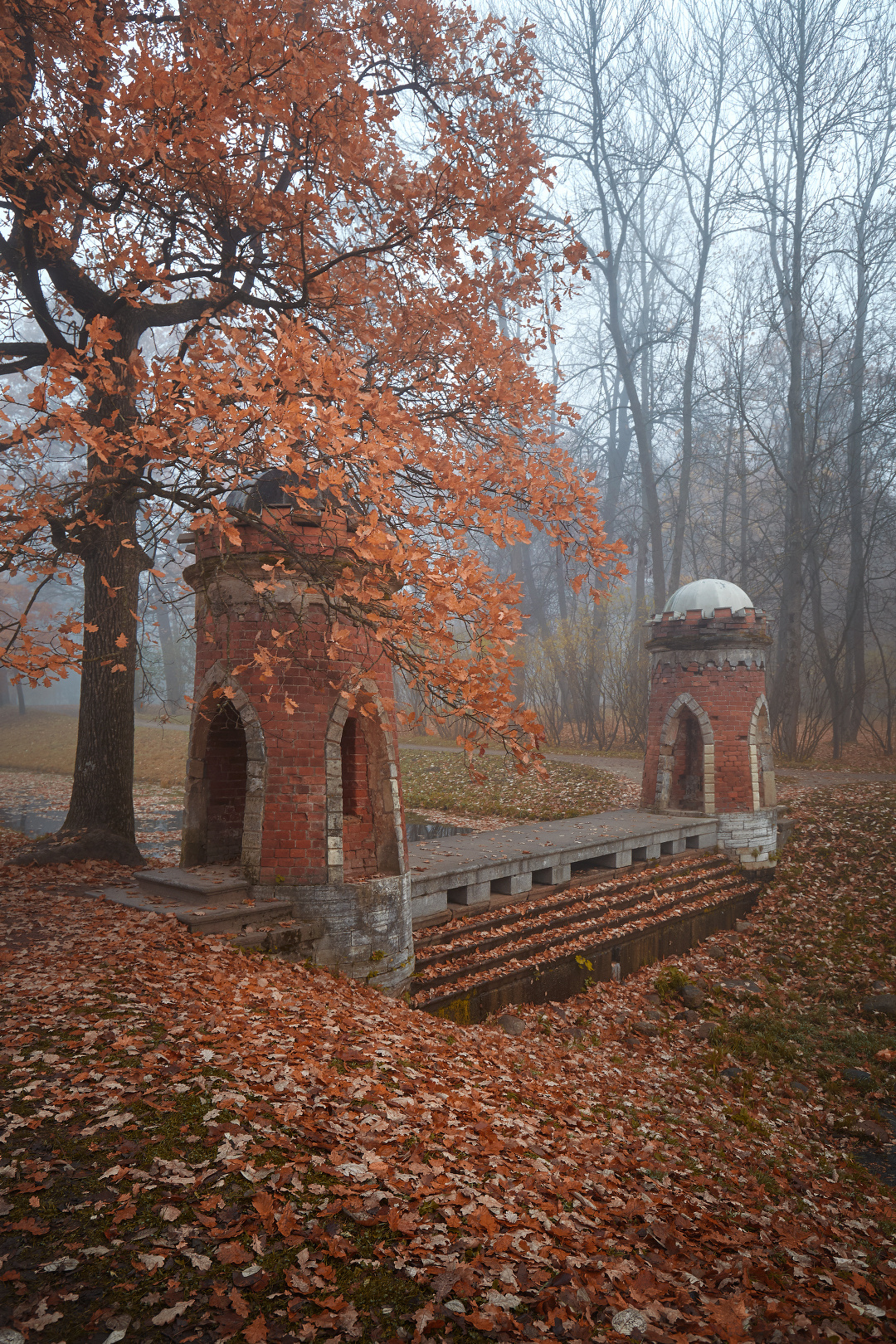 Красный каскад пушкин утро туман осень листопад октябрь